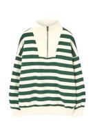 Stripes Freen Blowfly Sweatshirt Green THE ANIMALS OBSERVATORY