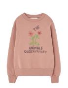 Flowers Dusty  Bear Sweatshirt Pink THE ANIMALS OBSERVATORY