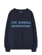 Navy Leo Sweatshirt Navy THE ANIMALS OBSERVATORY