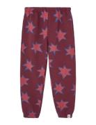 Stars Dromedary Sweatpants Burgundy THE ANIMALS OBSERVATORY