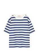 Stripes Navy Collie T-Shirt Blue THE ANIMALS OBSERVATORY