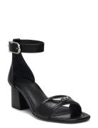 Caprese Wings Sandal Vintage Black Zadig & Voltaire