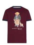 Polo Bear Cotton Ringer Tee Burgundy Ralph Lauren Kids
