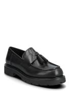 Cameron Black VAGABOND