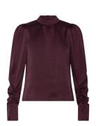 Dante6-Pristine Turtle Top Burgundy Dante6