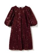 Pastis Short Dress Burgundy Noella