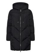 C_Piapolly Black BOSS