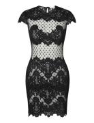 Meena Dress Black Ida Sjöstedt