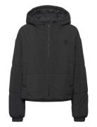 Freya-1_B Black HUGO BLUE