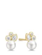 Tasha Earstuds Gold Julie Sandlau