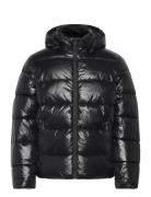 Ls Glossy Channeled Puffer Jkt Black Calvin Klein