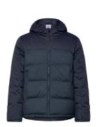 Hooded Jacket Navy Champion