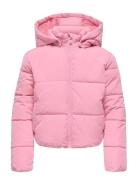 Kogmalia Short Puffer Jacket Ot Otw Pink Kids Only