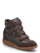 Mustang Brown Steve Madden