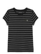 Stripe Ss Slim Tee Black Calvin Klein