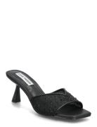Ivie-Mr Black Steve Madden