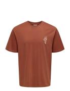 Onsfred Life Opt 4 Rlx Ss Tee Vd Brown ONLY & SONS