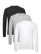 3 Pack Crew Ls Black French Connection