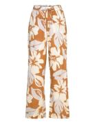 Carola Pants Brown Nué Notes