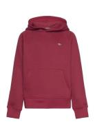 Shield Hoodie Burgundy GANT
