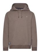 Brandon Lily Hood Brown Morris