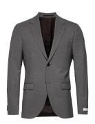 Jamonte Grey Tiger Of Sweden