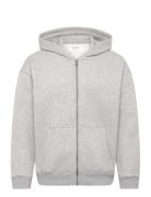 Boxy Fullzip Grey Hollister