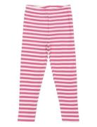Tnstfro Rib Leggings Pink The New