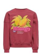 Kogphilea Life L/S Ovzfruit Ck Ub Swt Burgundy Kids Only