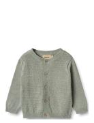 Knit Cardigan Bjørn Green Wheat