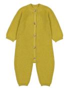 Robbie Yellow MarMar Copenhagen