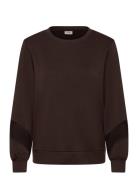 Fraurora Pu 12 Brown Fransa