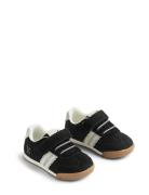 Sneaker Spectra Black Wheat