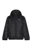 J Ess L Pad Jkt Black Adidas Sportswear