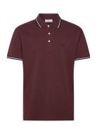 Polo Shirt W?. Contrast Piping Burgundy Lindbergh