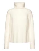 C_Falodina Cream BOSS