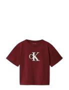 Festive Graphic Ss T-Shirt Burgundy Calvin Klein