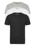 Dp 3 Pack T-Shirts Black Denim Project