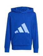 J Bl Ft Hd 280 Blue Adidas Sportswear