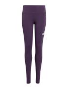 Jg Glam Leg Purple Adidas Sportswear