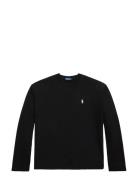 Cotton Jersey Long-Sleeve Tee Black Polo Ralph Lauren