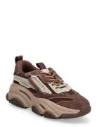 Possession-E Brown Steve Madden