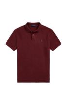 Basic Mesh-Ssl-Knt Burgundy Polo Ralph Lauren