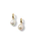 Paxton Earrings Gold Gold Syster P