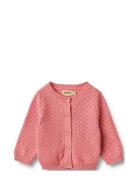 Knit Cardigan Magnella Pink Wheat