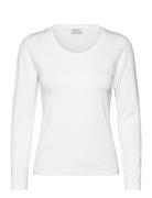 Macreama White Masai