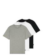 3 Pack Tee Patterned Wrangler