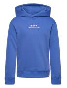 Hoodie Backprint Blue Daily 7