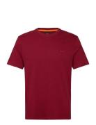 Tegood Burgundy BOSS