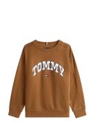 Varsity Raised Print Sweatshirt Brown Tommy Hilfiger